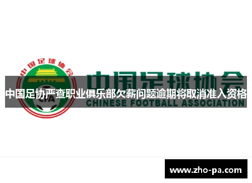 中国足协严查职业俱乐部欠薪问题逾期将取消准入资格